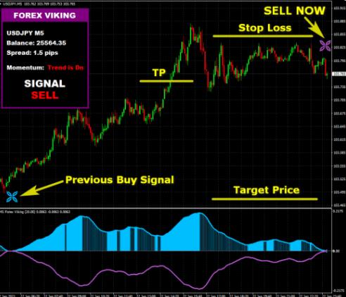 图片[3]-FOREX VIKING PRO 指标非重绘 - 外汇EA资源网-外汇EA资源网